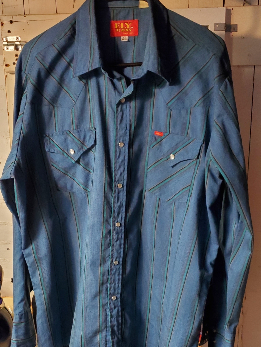 ELY Designs Men's Blue Striped Button-Down Western Shirt